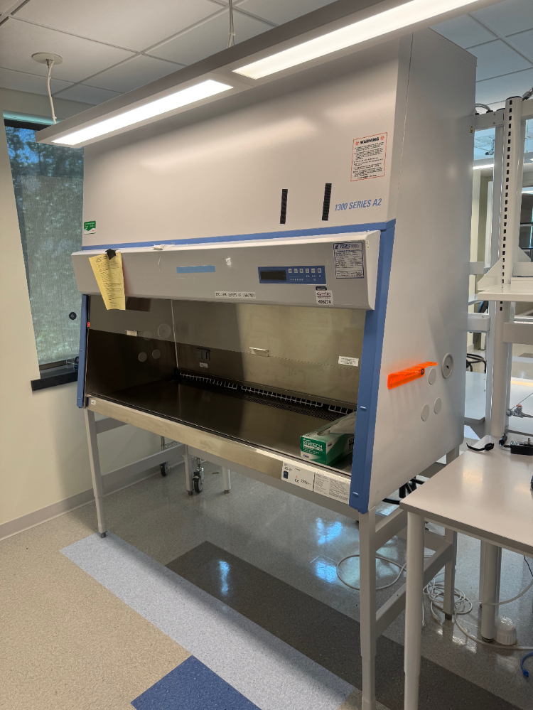 Image of Thermo 1300 Series A2 6' BioSafety Cabinet